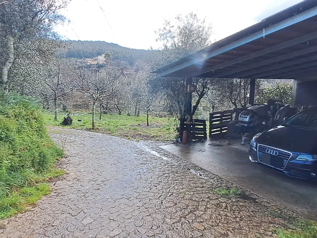 Charmosa Quinta em Castelo de Paiva - Image 11